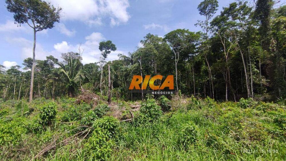 Chácara à venda com 3 quartos, 26000M2 - Foto 3