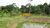 Chácara, 3 quartos, 3 hectares - Foto 7