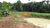 Chácara, 3 quartos, 3 hectares - Foto 13