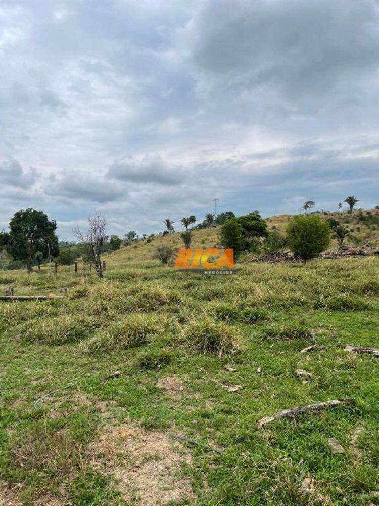 Sítio, 39 hectares - Foto 23