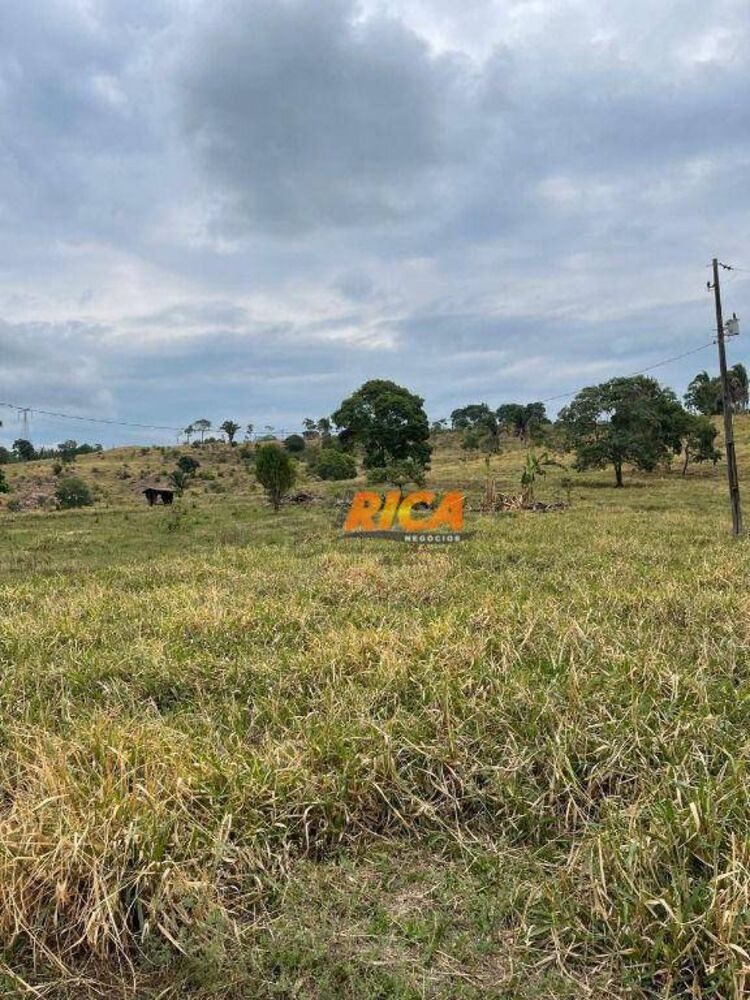 Sítio, 39 hectares - Foto 11