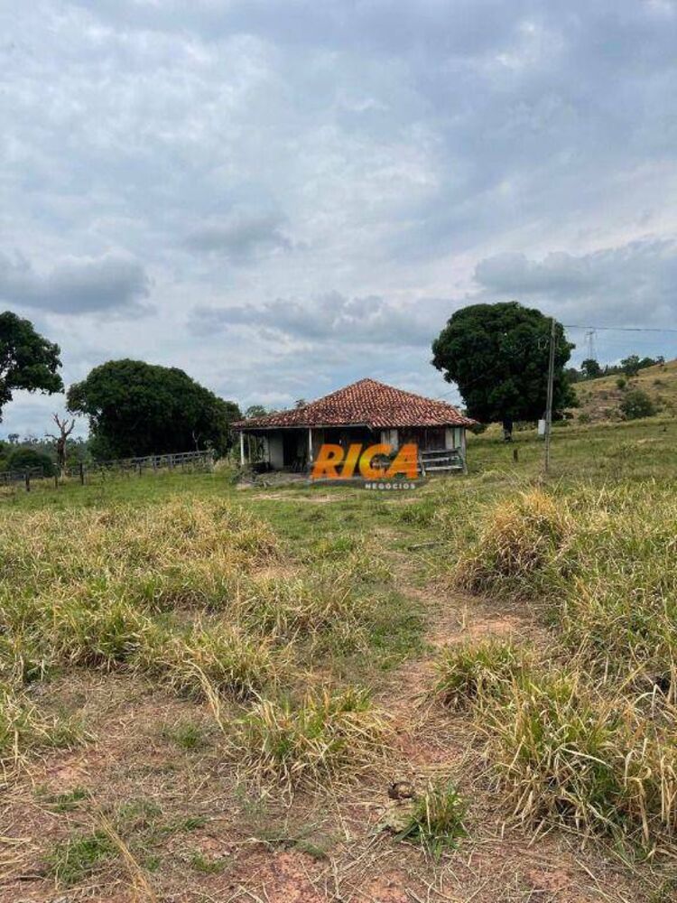 Sítio, 39 hectares - Foto 13