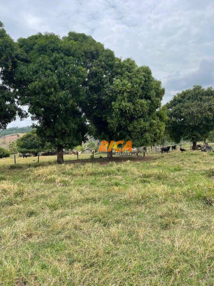 Sítio, 39 hectares - Foto 27