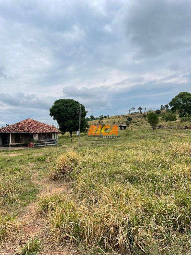 Sítio, 39 hectares - Foto 12