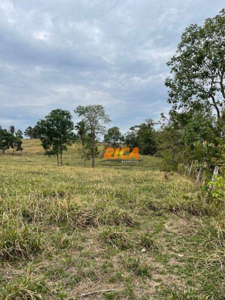 Sítio, 39 hectares - Foto 8