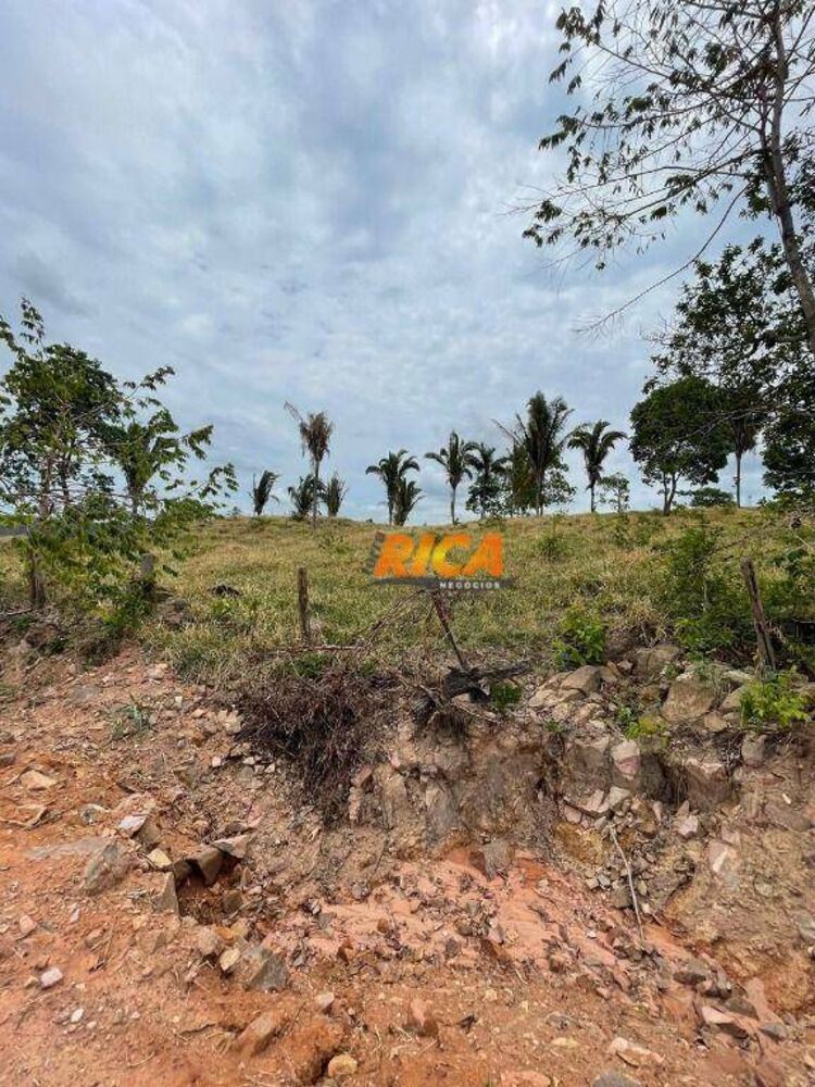 Sítio, 39 hectares - Foto 6