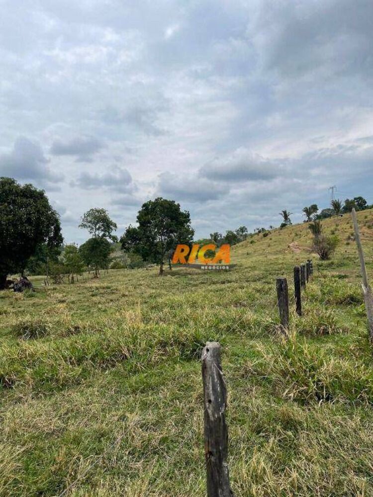 Sítio, 39 hectares - Foto 25