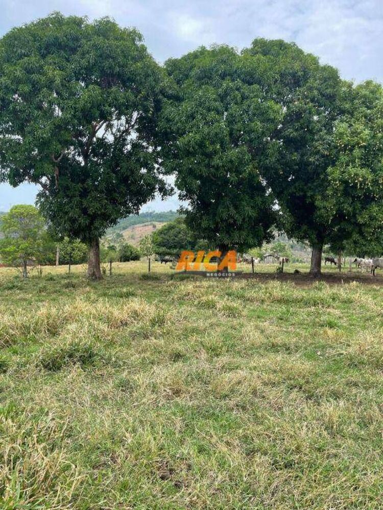 Sítio, 39 hectares - Foto 28