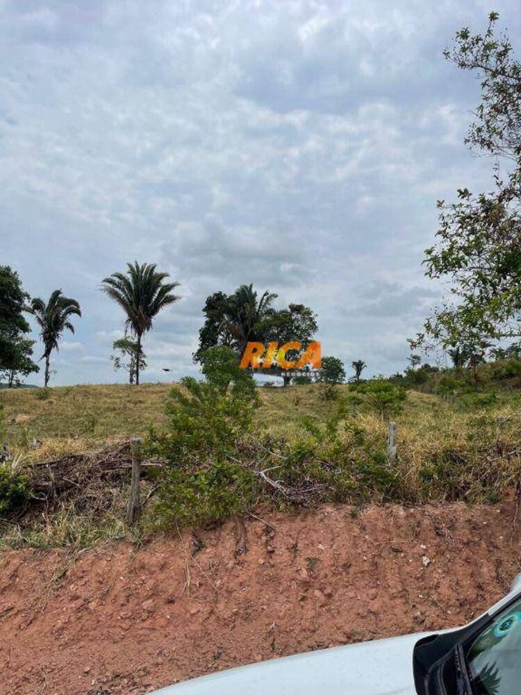 Sítio, 39 hectares - Foto 5