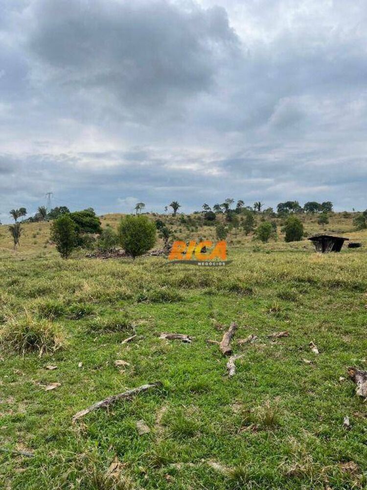 Sítio, 39 hectares - Foto 22