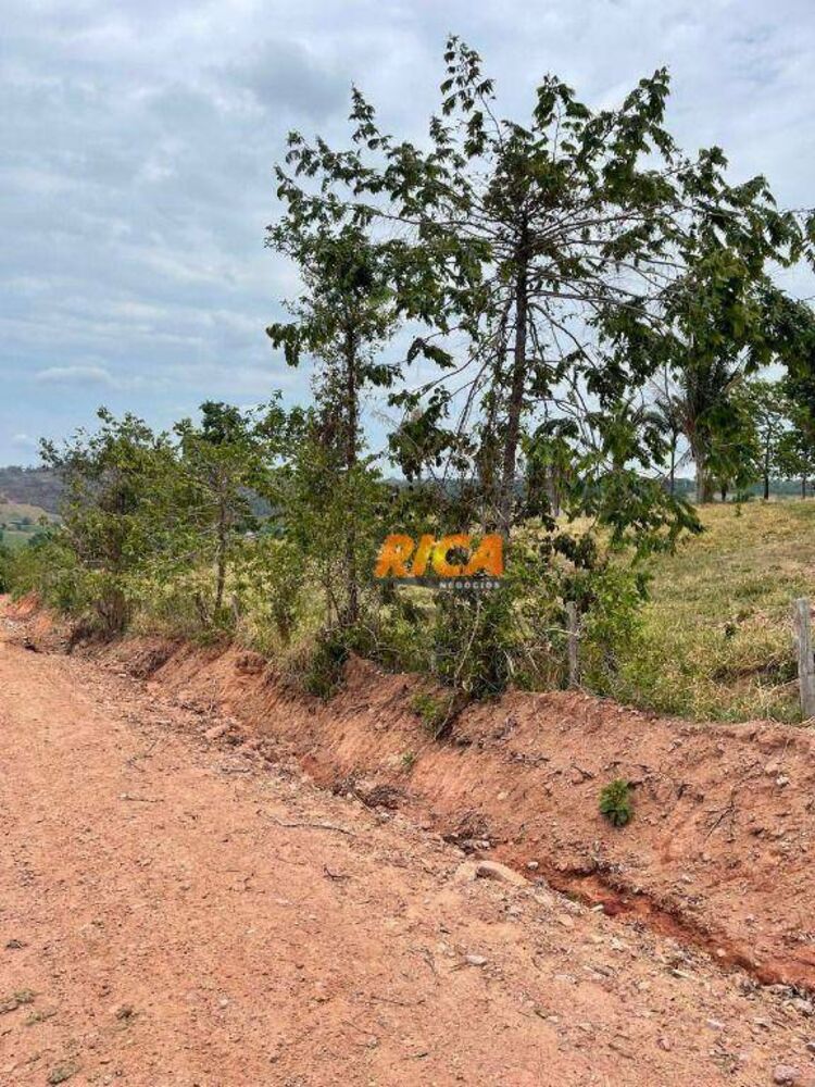 Sítio, 39 hectares - Foto 3