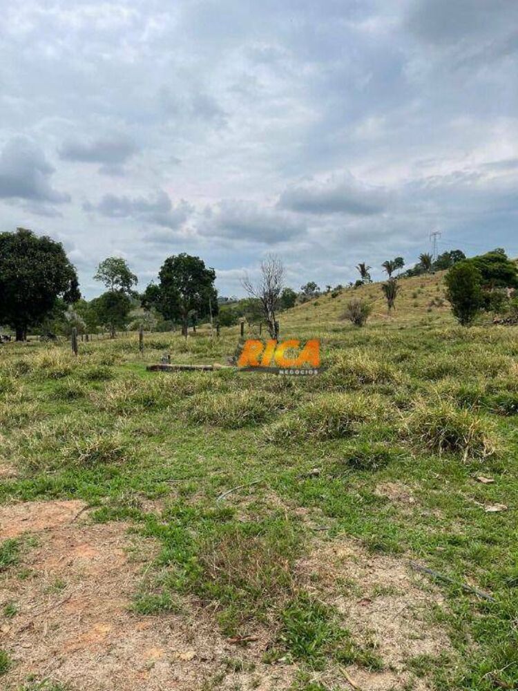 Sítio, 39 hectares - Foto 24