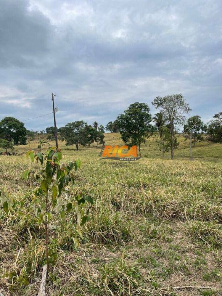 Sítio, 39 hectares - Foto 9