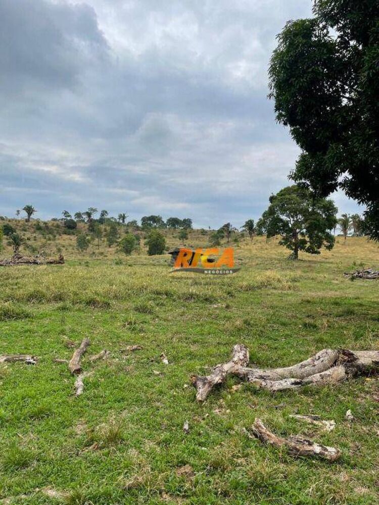 Sítio, 39 hectares - Foto 21