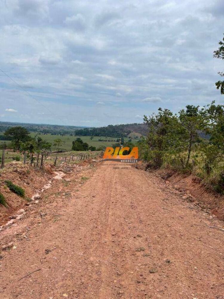 Sítio, 39 hectares - Foto 4