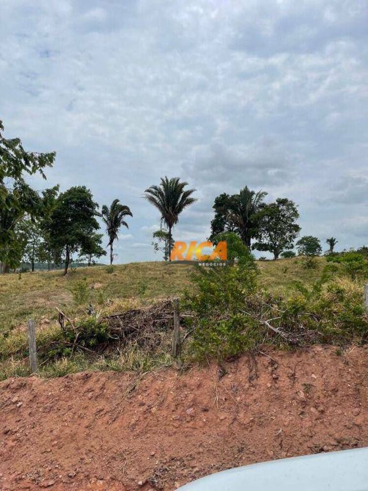 Sítio, 39 hectares - Foto 1