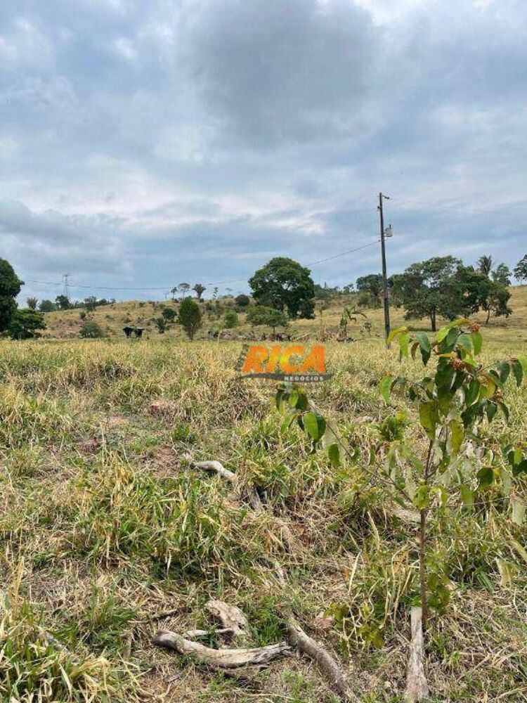 Sítio, 39 hectares - Foto 10