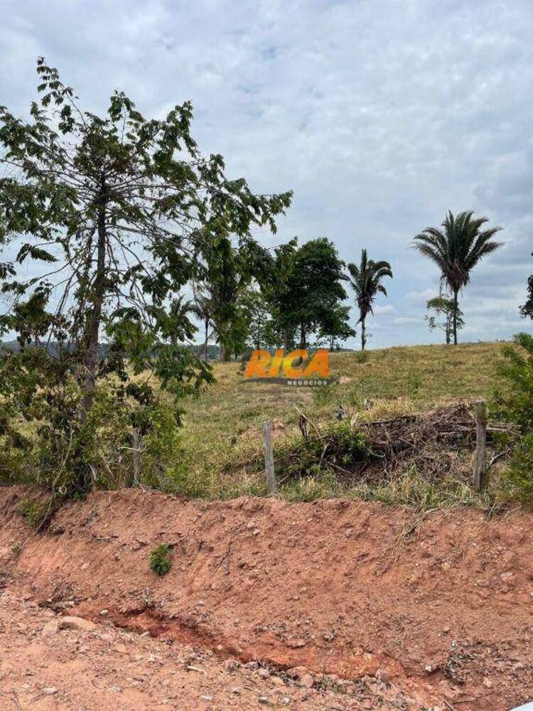 Sítio, 39 hectares - Foto 2