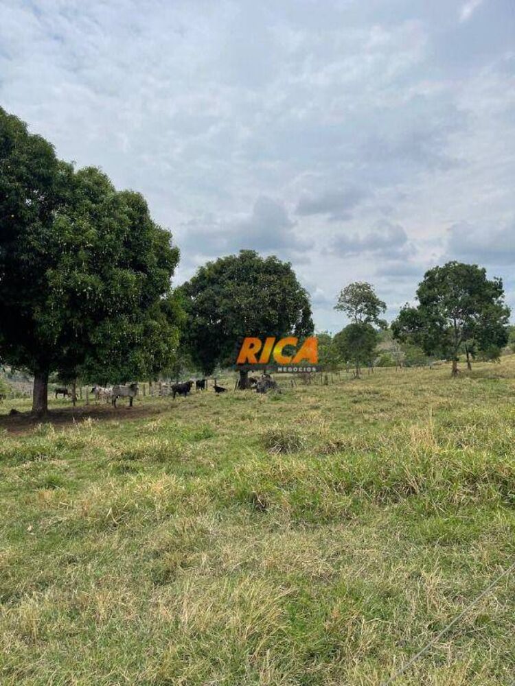 Sítio, 39 hectares - Foto 26