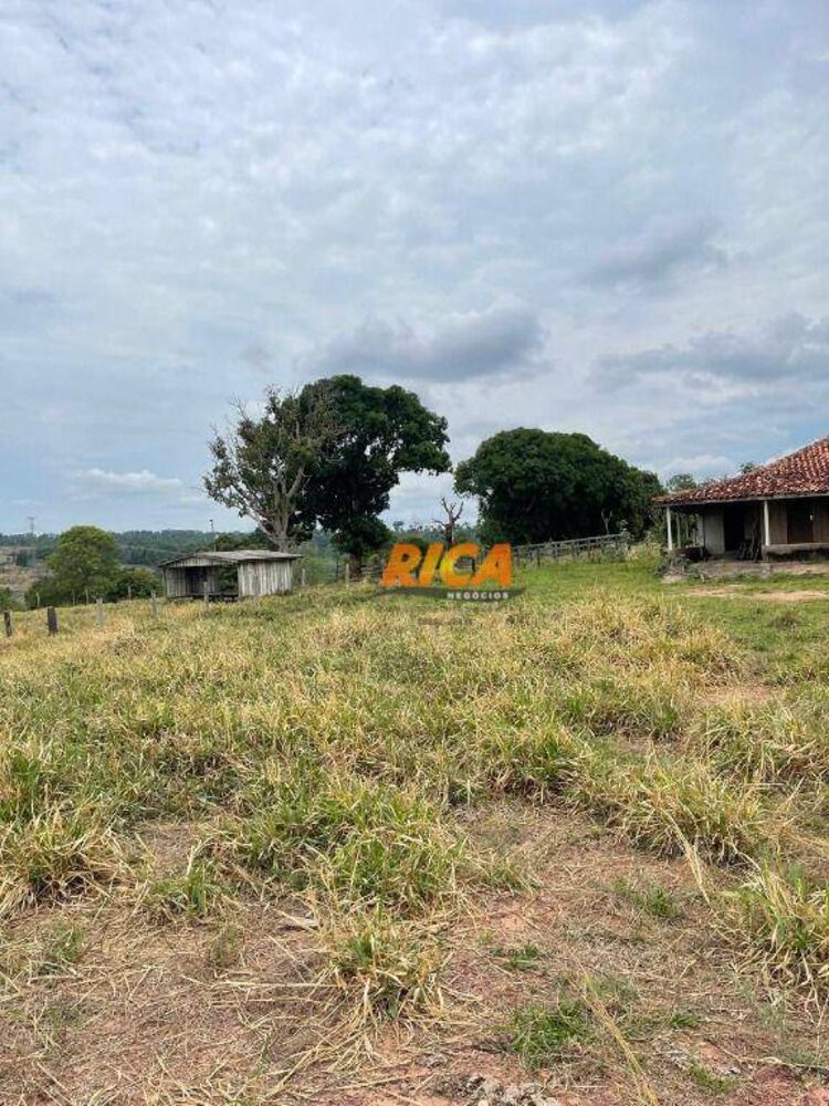 Sítio, 39 hectares - Foto 14