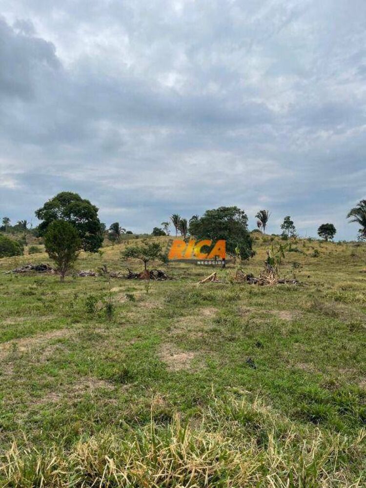 Sítio, 39 hectares - Foto 20