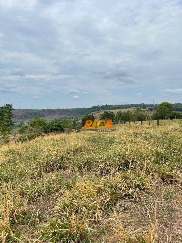 Sítio, 39 hectares - Foto 16