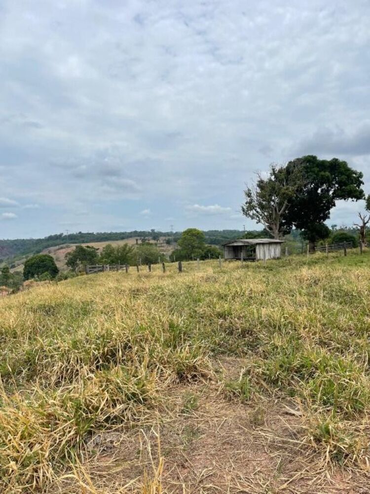 Sítio, 39 hectares - Foto 15