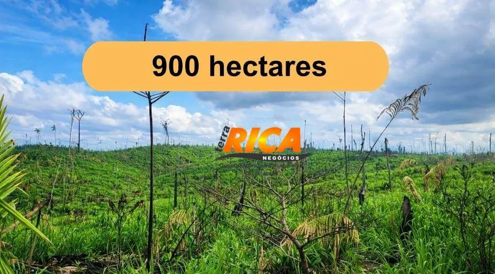 Fazenda, 900 hectares - Foto 1