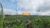Fazenda, 900 hectares - Foto 3