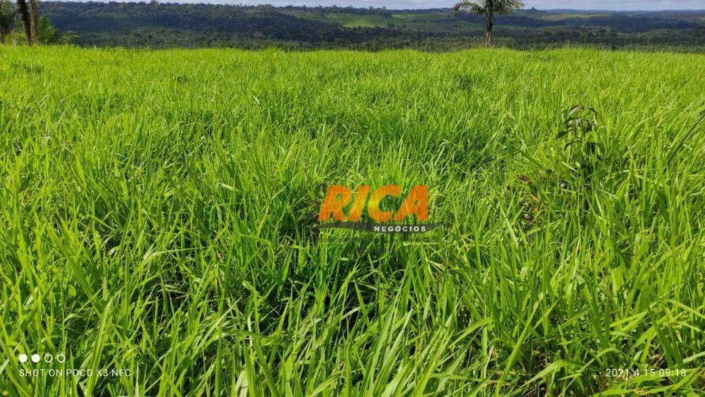 Fazenda, 1120 hectares - Foto 6