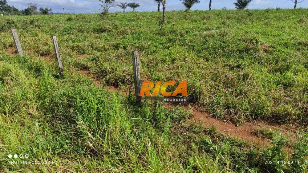 Fazenda, 1120 hectares - Foto 10
