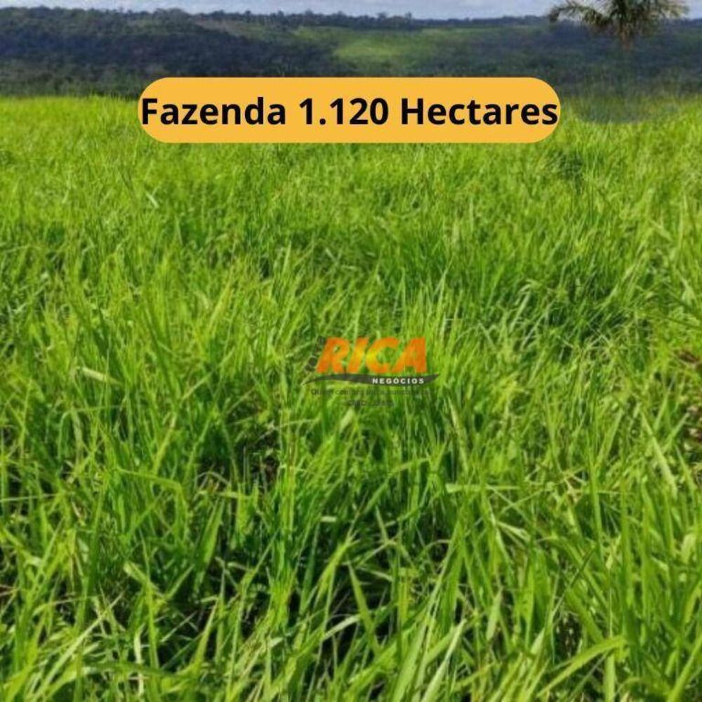 Fazenda à venda, 11200000M2 - Foto 1