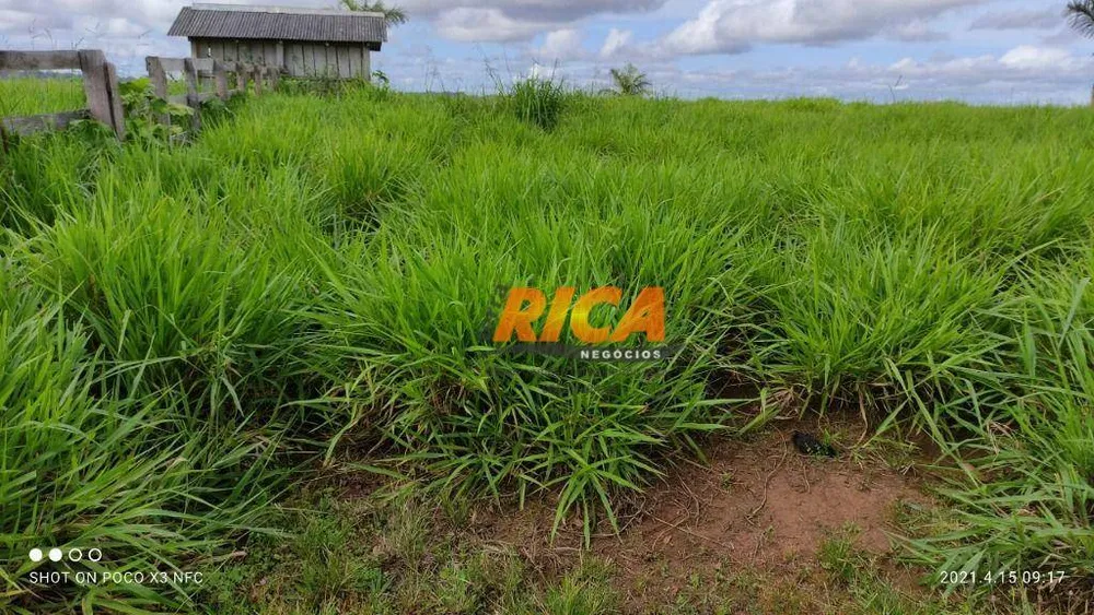 Fazenda, 1120 hectares - Foto 11
