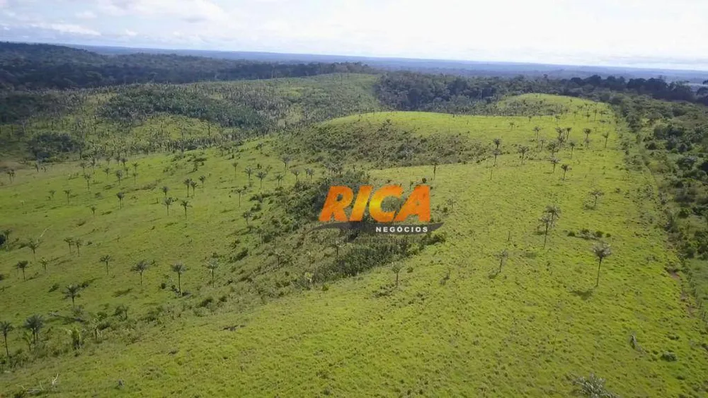 Fazenda, 1120 hectares - Foto 8