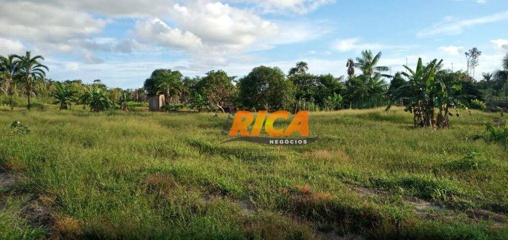 Sítio, 50 hectares - Foto 2