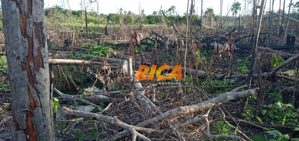 Sítio, 50 hectares - Foto 8