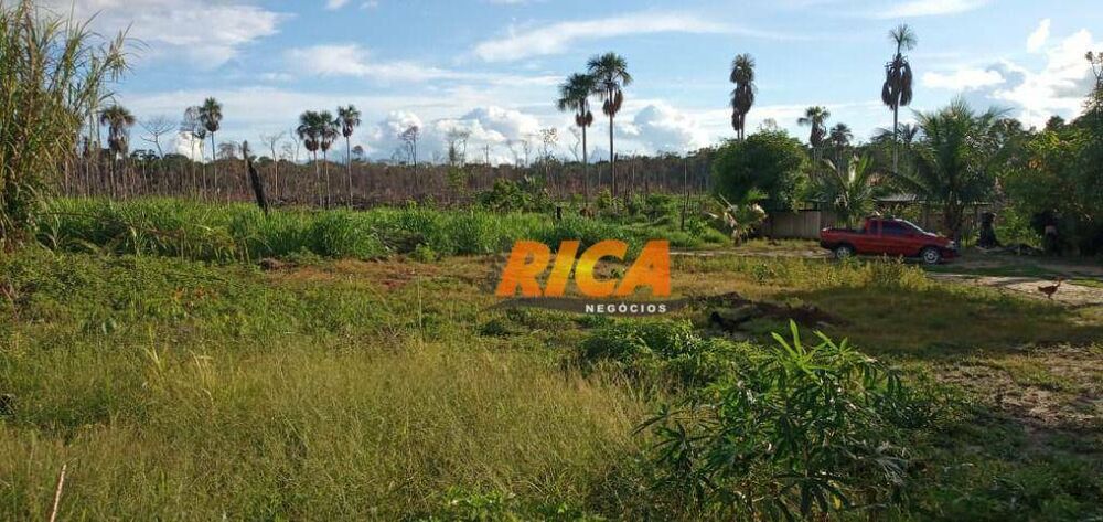 Sítio, 50 hectares - Foto 3