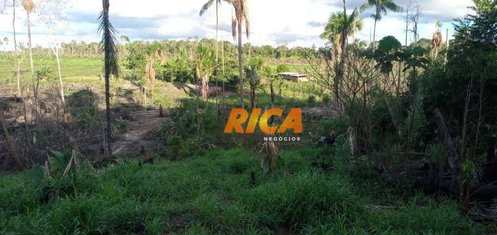 Sítio, 50 hectares - Foto 10
