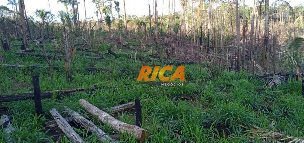 Sítio, 50 hectares - Foto 11