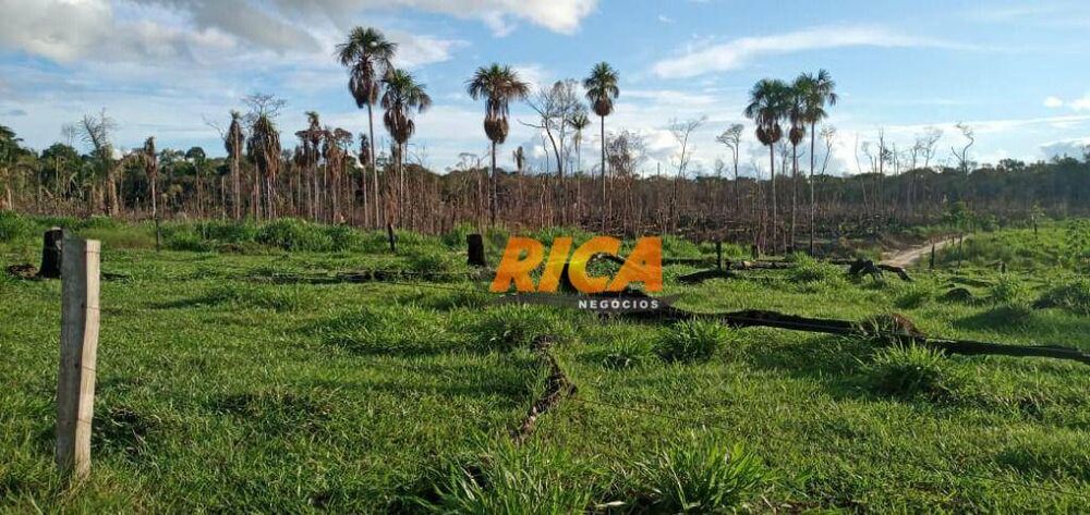 Sítio, 50 hectares - Foto 4