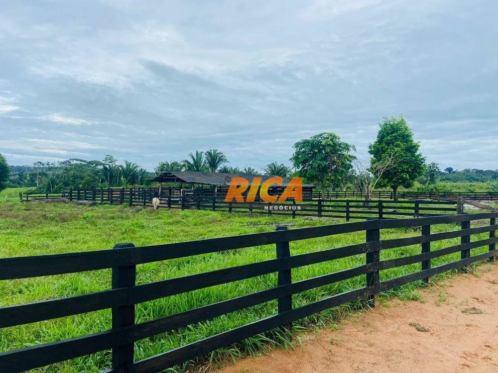 Fazenda, 75 hectares - Foto 6