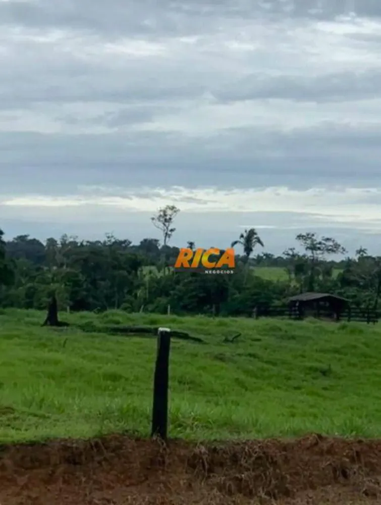 Fazenda, 75 hectares - Foto 4