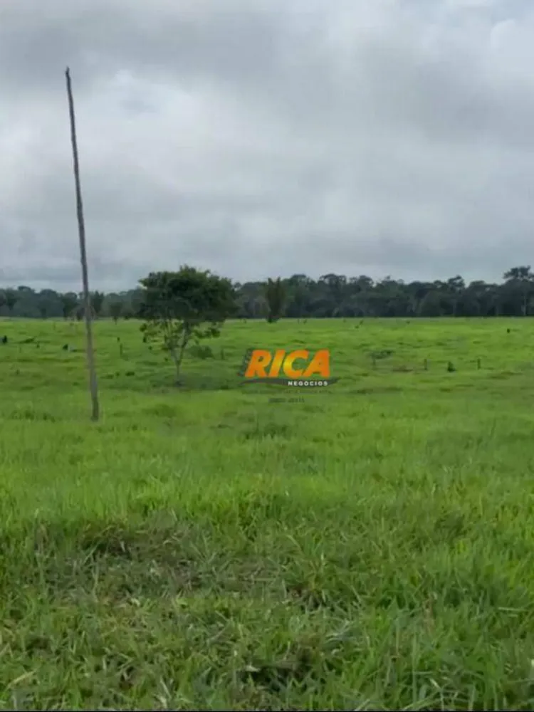 Fazenda, 75 hectares - Foto 4