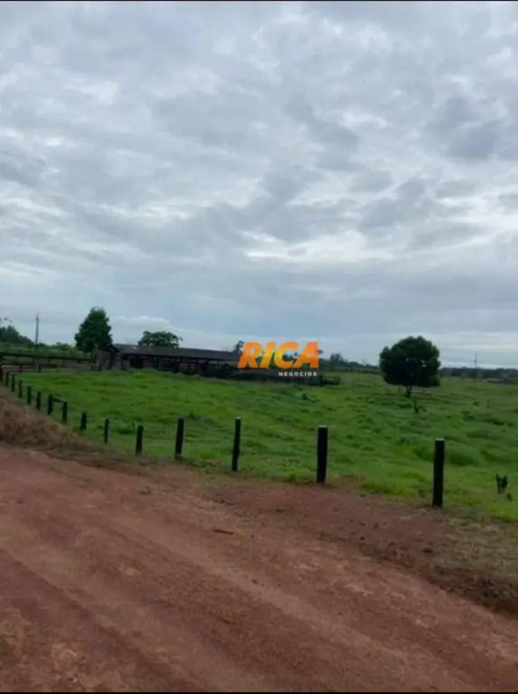 Fazenda, 75 hectares - Foto 7