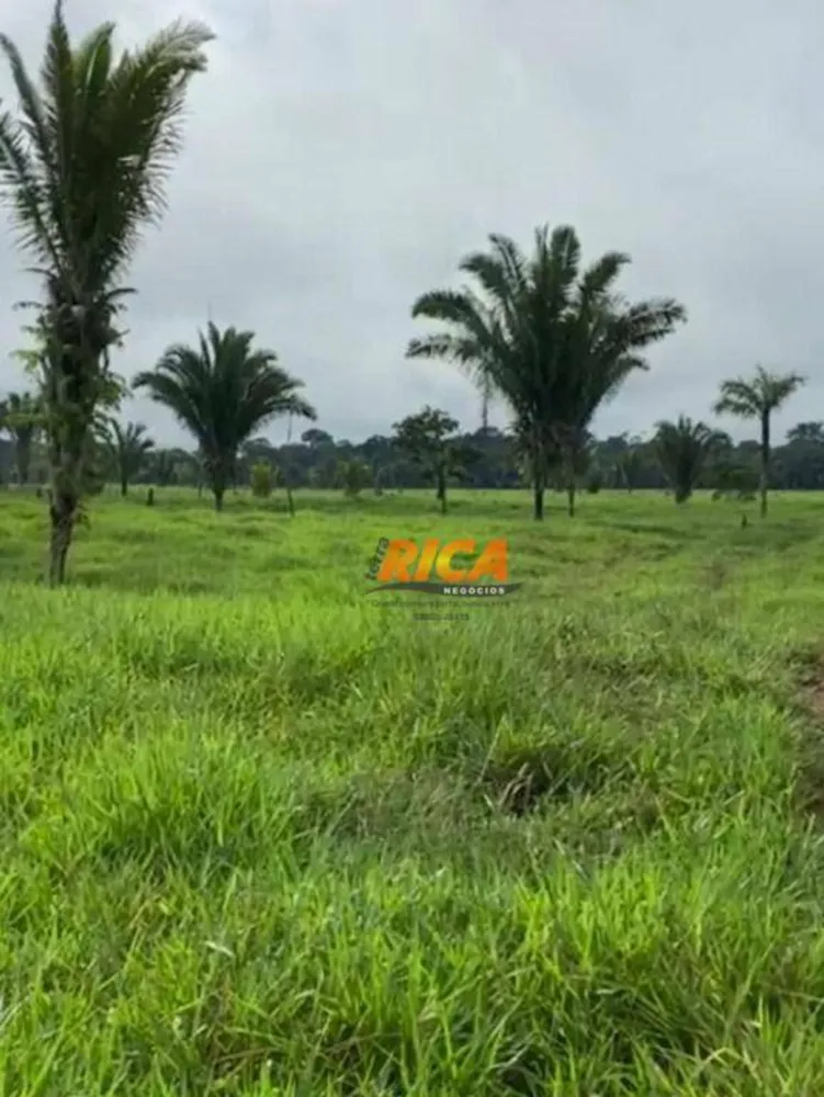 Fazenda, 75 hectares - Foto 1
