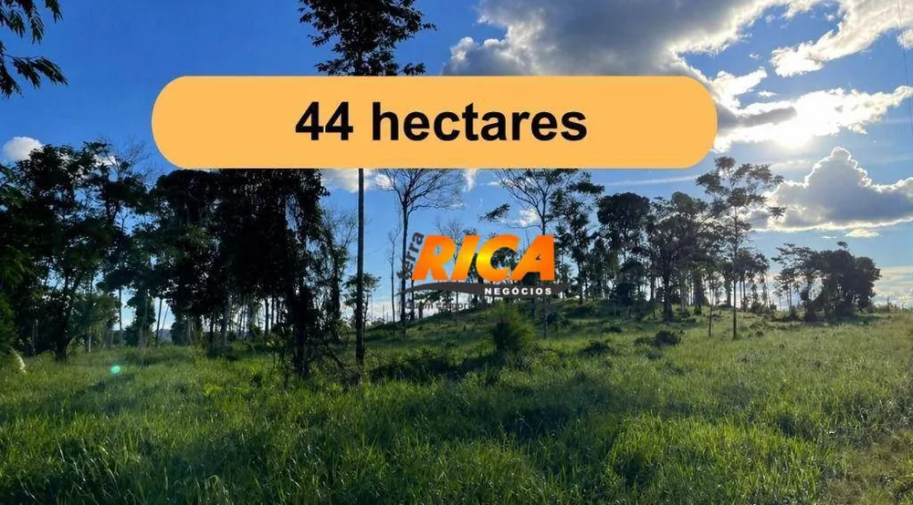 Sítio, 44 hectares - Foto 1