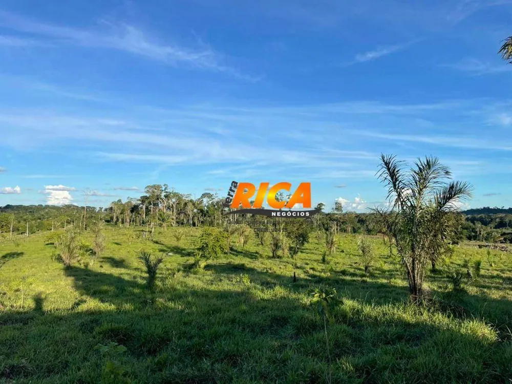 Sítio, 44 hectares - Foto 11