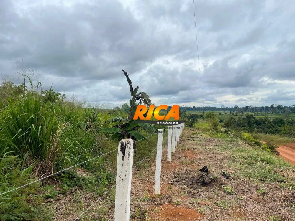 Sítio, 44 hectares - Foto 4