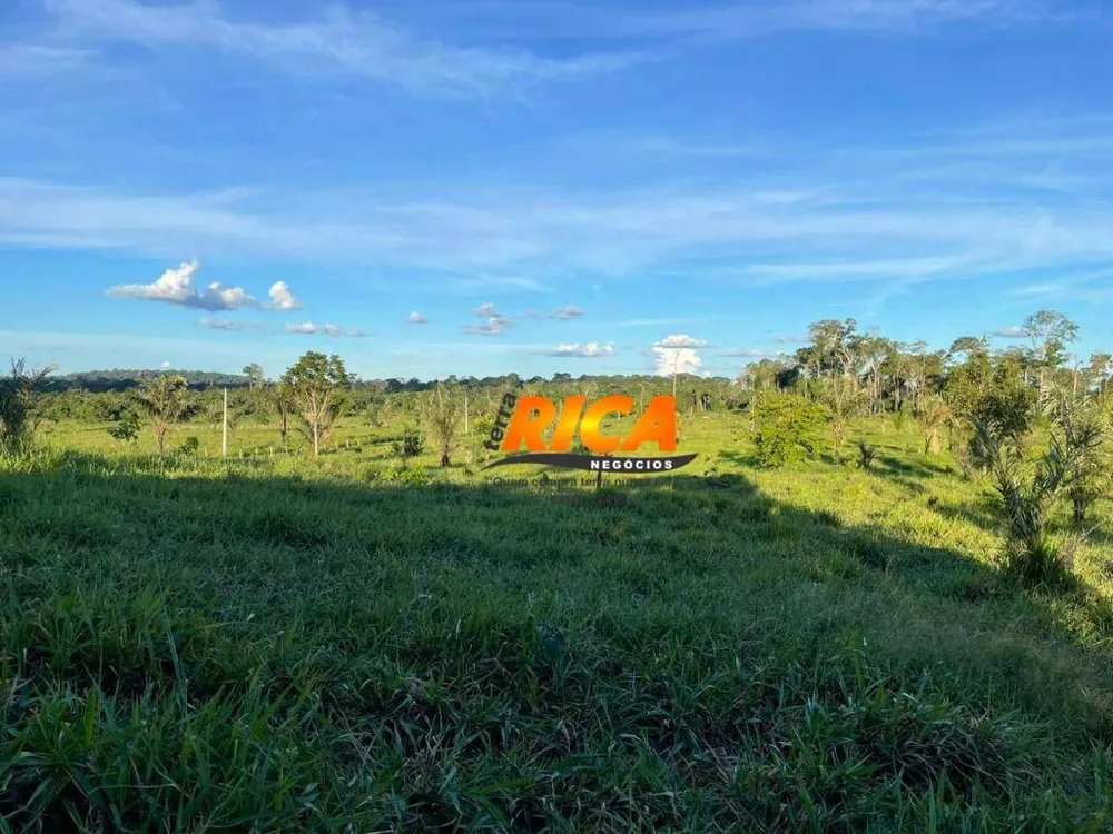 Sítio, 44 hectares - Foto 12