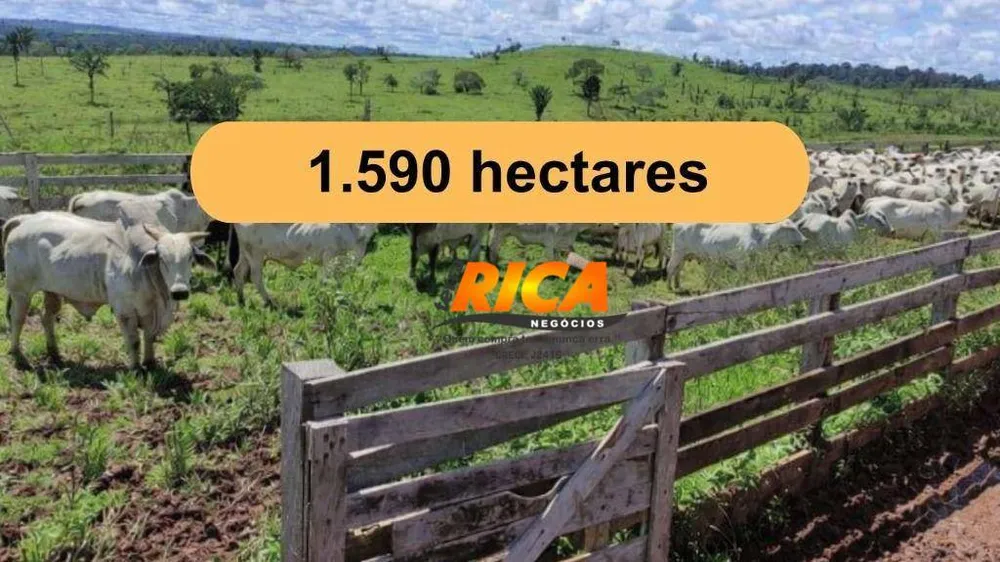 Fazenda, 1590 hectares - Foto 2